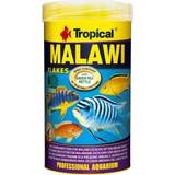 Tropical Fisk & Krybdyr Kæledyr Tropical Malawi foder akvariefisk