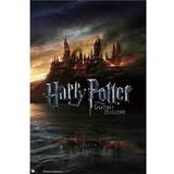 Grupo Erik Harry Potter And The Deathly Hollows Plakat