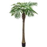 Sort Dekorationer Europalms Phoenix Palm Tree Luxor Kunstig plante