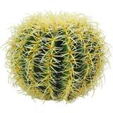 Brugskunst Europalms Kunstig Barrel kaktus, 27cm Kunstig plante