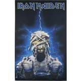 Jern Vægdekorationer Iron Maiden Powerslave Eddie Flagga Unisex flerfärgad Poster