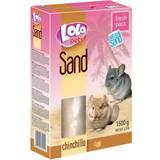 Smådyr Kæledyr Chinchilla Sand