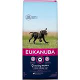 Eukanuba Omega-6 Kæledyr Eukanuba Puppy Large Breed 12kg