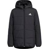 Adidas Overtøj adidas Padded Winter Jacket - Black (HM5178)