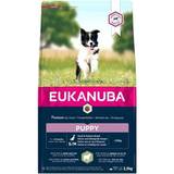 Eukanuba Vitaminer Kæledyr Eukanuba Puppy Small & Medium Breed Lamb & Rice 2.5kg