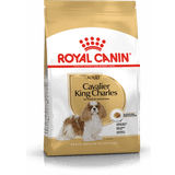 Mini (1-10 kg) - Tørfoder Kæledyr Royal Canin Cavalier King Charles Adult 7.5kg