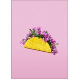 Lilla Vægdekorationer Flower Taco 50x70 cm Plakat