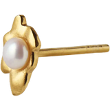 Perler Øreringe Stine A Petit Shelly Pearl Earring - Gold/Pearl