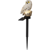 Beige Bedlamper Star Trading Owl Bedlampe 33cm