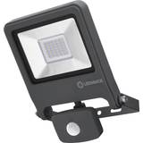 Arbejdslamper LEDVANCE Endura Floodlight sensor LED-spot 30W