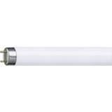 G13 Lysstofrør på tilbud Osram Lumilux Fluorescent Lamps 30W G13