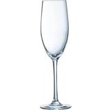 ARC Træ Køkkentilbehør ARC - Champagne Glass 24cl