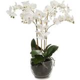 Hvid Kunstige planter Mr Plant Phalaenopsis Kunstig plante