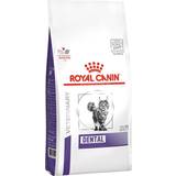 Royal Canin Vægttab Kæledyr Royal Canin Dental Cat 1.5kg