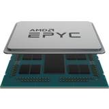 HP AMD Socket SP3 CPUs HP AMD EPYC 7262 3.2 GHz Processor