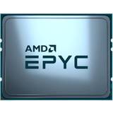 AMD Socket SP3 CPUs Lenovo AMD EPYC 7313 3 GHz Processor