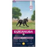 Eukanuba E-vitaminer - Tørfoder Kæledyr Eukanuba Puppy Large Breed 15kg