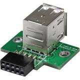 Grøn - Han – Hun - Kabeladaptere Kabler StarTech 2 Port USB Head