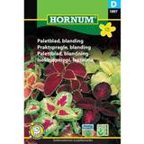 Krukker, Planter & Dyrkning Hornum Paletblad, blanding D