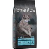 Briantos Kæledyr briantos Adult Salmon & Potatoes Grain Free 12kg