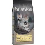 Briantos Tørfoder Kæledyr briantos Junior Chicken & Potato Grain Free 2x12kg