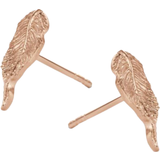 Rosaguld Øreringe Spirit Icons Fall Ear Stud Earrings - Rose Gold