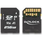 DeLock Hukommelseskort DeLock SD Express Hukommelseskort 256 GB
