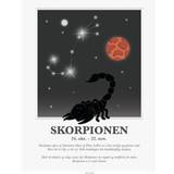 Multifarvet - Stjerner Indretningsdetaljer Kids by Friis Stjernetegnsplakat Skorpionen 30x40cm