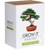 Plantesæt Gift Republic Grow It Bonsai Trees