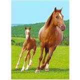 Carbotex Børnetæppe Hest med føl 100x140 cm Blødt og lækkert Fleece tæppe Borg Living