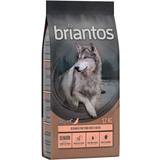 Briantos Tørfoder Kæledyr briantos Grain Free Senior Turkey & Potatoes 2x12kg