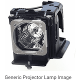 Projector pærer Sony LMP H220