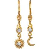Transparent Smykker Maanesten Ember Earrings - Gold/Diamonds