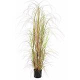 Brun Brugskunst Europalms Grass bush, artificial, 150cm busk Kunstig plante