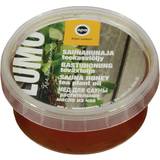Pisla Sauna honey tea plant oil 200 g