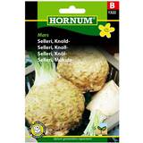 Hornum Krukker, Planter & Dyrkning Hornum Knoldselleri frø
