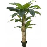 Brugskunst Europalms Banana tree, artificial plant, 170cm Kunstig plante