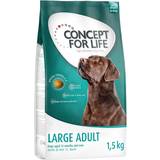 Concept for Life Kæledyr Concept for Life 4x1,5kg Large Adult hundefoder
