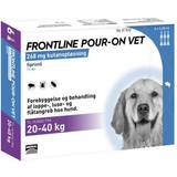 Loppemiddel hund Frontline pour-on Vet hund, 20-40 kg