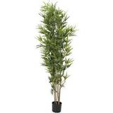 Kunstig bambus Europalms Kunstig Bambus. Plante. Deluxe. 180 Cm. Kunstig plante