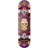 Skateboards Hydroponic Komplet Skateboard Mexican (Purple Skull) Lilla 8.125"