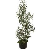 Europalms Olive tree Kunstig plante
