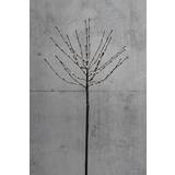 Dacore Light Tree Black Juletræ 110cm