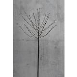 Sort Juletræer Dacore Light Tree Black Juletræ 110cm