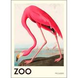 & Frame The Zoo Collection Pink Flamingo Edt. 001