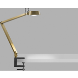 LIGHT-POINT Indendørsbelysning Bordlamper LIGHT-POINT Dark T1 Brass 3000K Dæmpbar Bordlampe