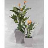 Orange - Polyester Dekorationer Strelitzia Kunstig plante