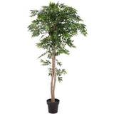 Brugskunst Europalms Ficus Longifolia. 165 Cm. Kunstig plante