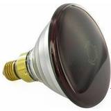 LED-pærer Beurer Pære til infrarød lamper, 100 watt 1 stk