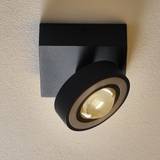 Paul Neuhaus LED-belysning Spotlights Paul Neuhaus Smart plafondspot donkergrijs met Spotlight